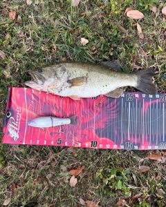 A breathtaking view of Lake Wales with fishing gear