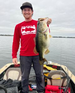 Photograph of a largemouth bass caught while fishing in FL