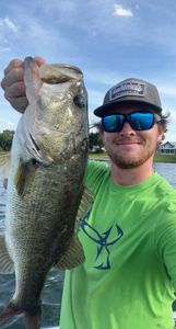 Largemouth Bass catch in Florida Fishing trip 2024