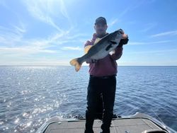 lake wales fishing, largemouth bass
