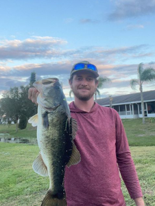 Largemouth Bass caught while fishing in FL