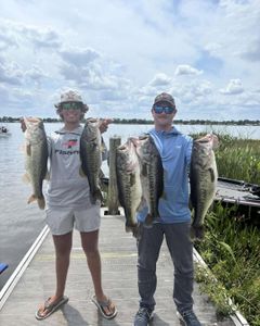 4 largemouth bass caught while fishing in FL