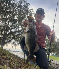 Largemouth bass caught while fishing at Lake Wales
