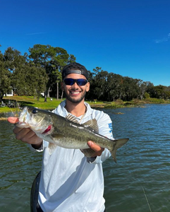Largemouth Bass caught while fishing at Lake Wales