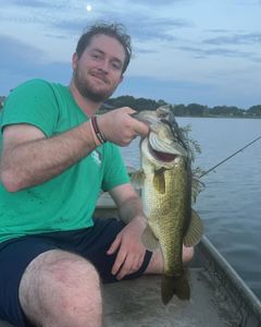 Largemouth bass caught at Lake Wales