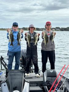 5 largemouth bass caught while fishing at Lake Wales