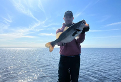 Smallmouth bass caught fishing in FL