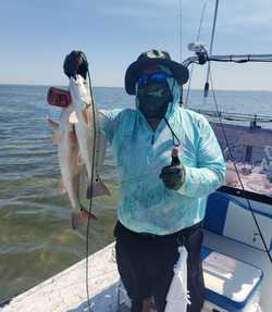 Chasing Redfish Dreams: Rio Hondo Adventure