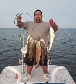 Captivating Moments: Redfish Magic in Rio Hondo