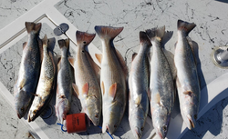 Seize the Day with Rio Hondo Fishing: Redfish!