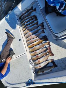 Two anglers fishing in TX