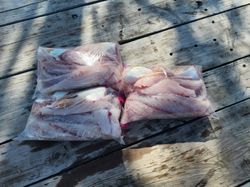 Exciting fishing trip in TX