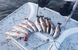 5 fishing rods and reels in a scenic TX landscape