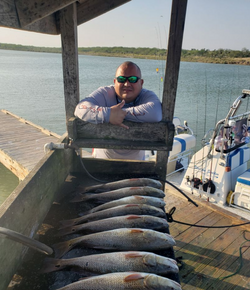 Two large fish caught in Rio Hondo during fishing trip