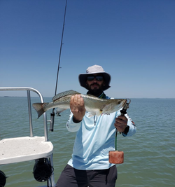 Photo of a person fishing in the Rio Hondo