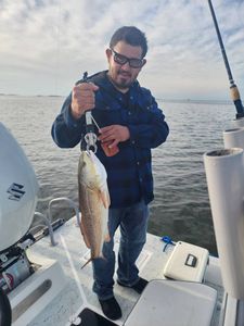 Redfish caught in Rio Hondo