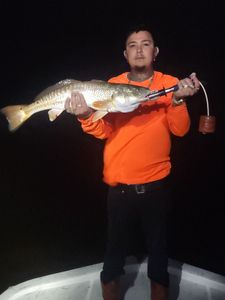 Redfish caught in TX