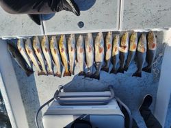 9 fish caught during fishing trip in Rio Hondo
