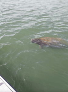 Scenic view of Florida coastline during fishing trip
