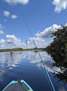 Fishing trip in FL