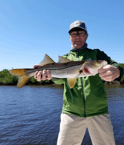 A single snook fish caught in Punta Gorda while fishing