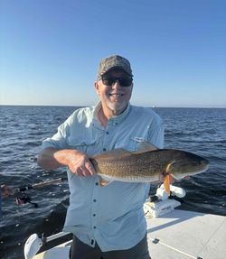 Redfish caught while fishing in Corpus Christi TX waters