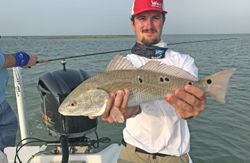 Redfish catch displayed on fishing boat in Corpus Christi TX waters