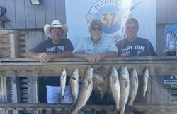 Fresh caught redfish displayed at fishing dock in Corpus Christi TX
