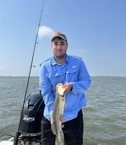 Speckled trout caught fishing in Corpus Christi TX waters