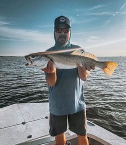Speckled trout catch displayed on boat in Corpus Christi TX waters