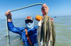 Speckled trout fishing success in Corpus Christi TX showing multiple caught fish