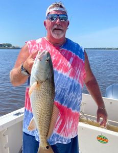 Biloxi redfish fishing: reel in the fun