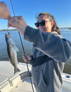Fresh catch day in Biloxi, MS