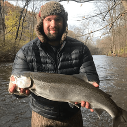 Rainbow Trout in Connecticut