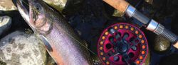 Best Trout Fishing in Connecticut 