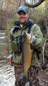 Brown Trout from Farmington River, CT