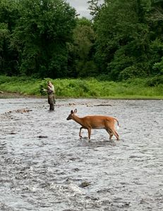 A lone angler fishing in New Hartford