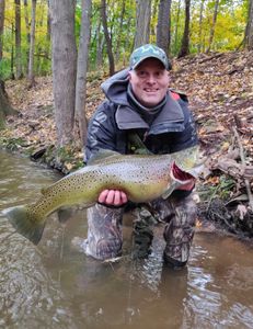 Learn how to Centerpin and fool Fat browns 