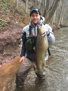 Rainbow trout, 24 inches, caught in New Hartford