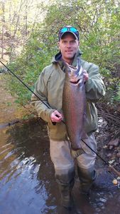 A rainbow trout caught by an angler in New Hartford