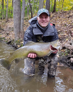 A rainbow trout being held by a person in New Hartford