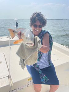 Red Fish Gulf of Mexico 