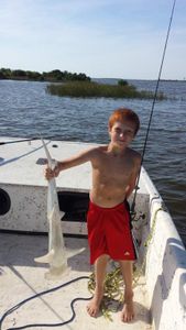 Angler catches an Atlantic Sharpnose Shark in Florida