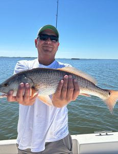 Redfish caught in FL on cruises, fishing, or tours