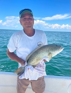 Cruising and fishing in Crystal River