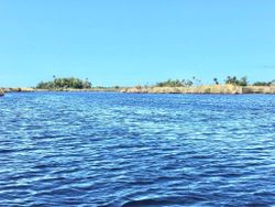 Beautiful crystal river scenery with cruises, fishing, and tours