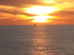 Fishing cruises and tours in FL
