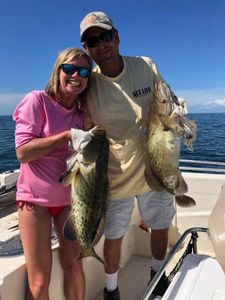 Two Gag Grouper fish caught during a fishing trip in Crystal River