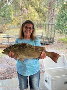 Grouper galore in action