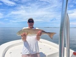 Gulf of Mexico Redfish 